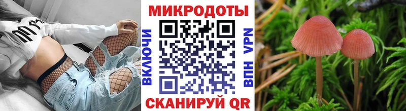 Галлюциногенные грибы Magic Shrooms  наркошоп  Котлас 